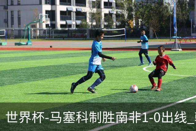 世界杯-马塞科制胜南非1-0出线 韩国积3分获小组第三待定